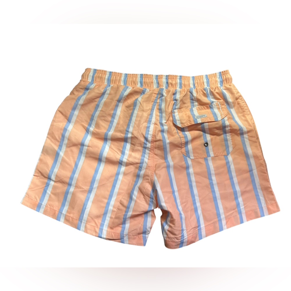 ALL FENIX men’s beach stripe swim shorts trunks style AF040 size Large NWT - Picture 2 of 5